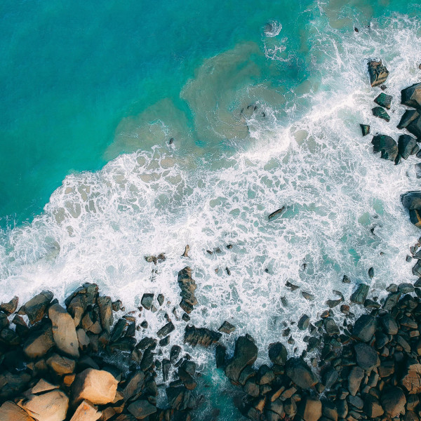 Proin sagittis nisl rhoncus mattis rhoncus